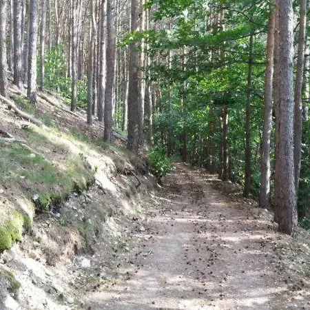 4 ágyas Szoba Pensión Fertőboz